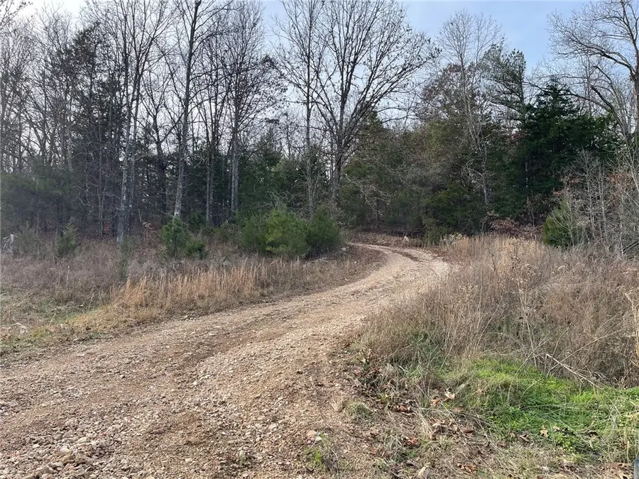 Falcon Lane, Berryville, AR 72616 - #3