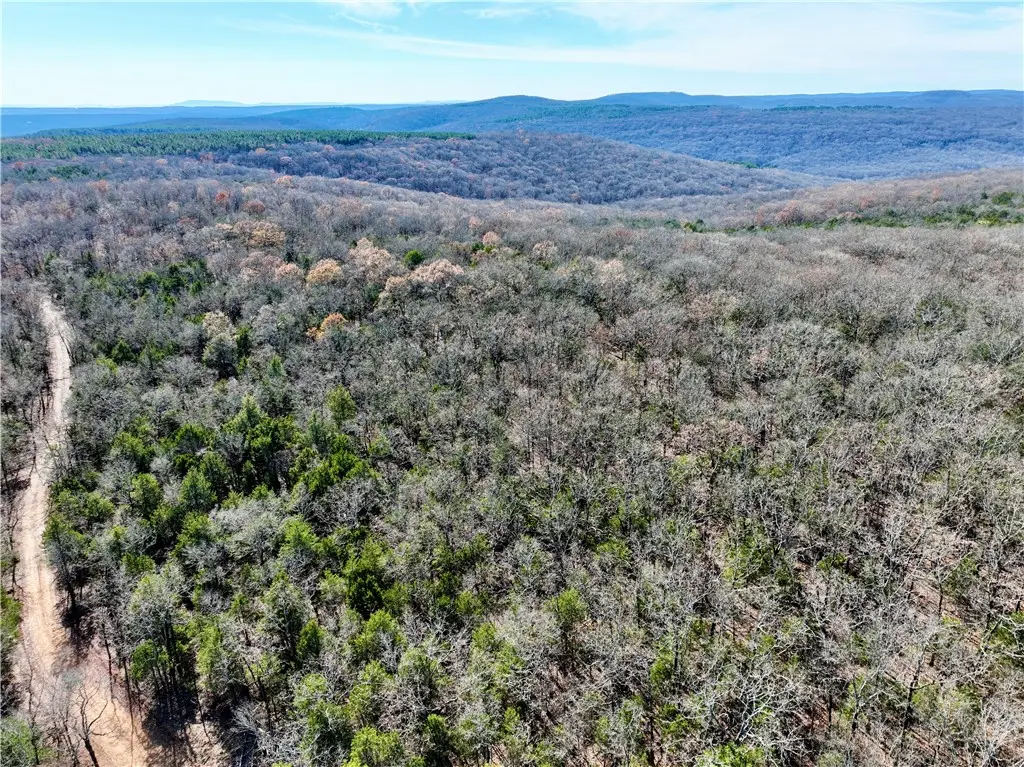 TBD Liberty Hill Road, Natural Dam, AR 72948 - #1