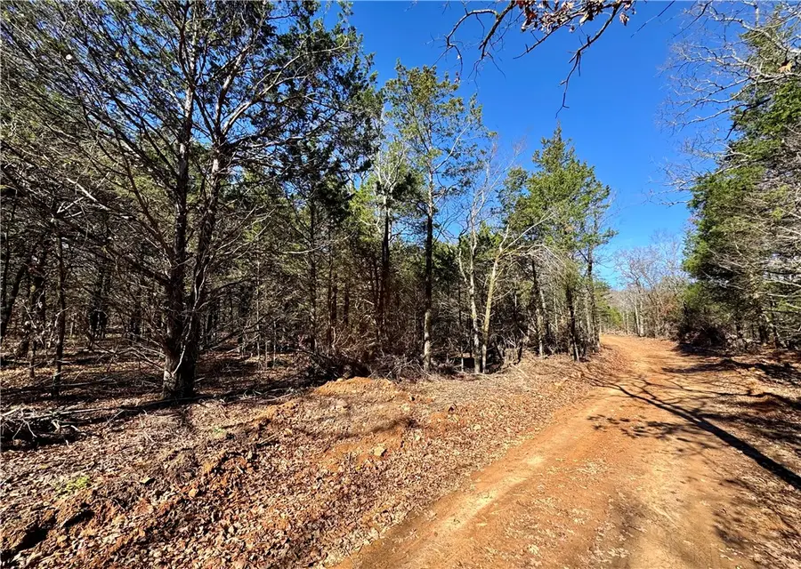 TBD Liberty Hill Road, Natural Dam, AR 72948 - #2