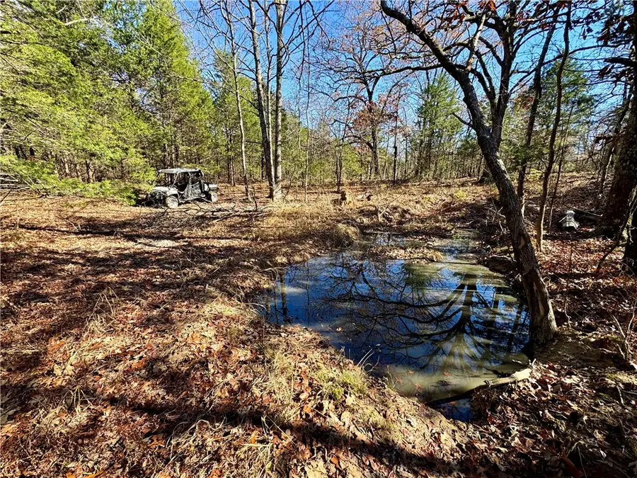 TBD Liberty Hill Road, Natural Dam, AR 72948 - #3