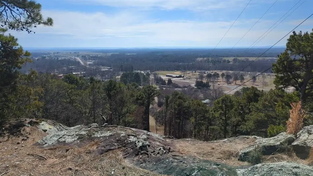 000 Ridge Drive, Dardanelle, AR 72834 - #1