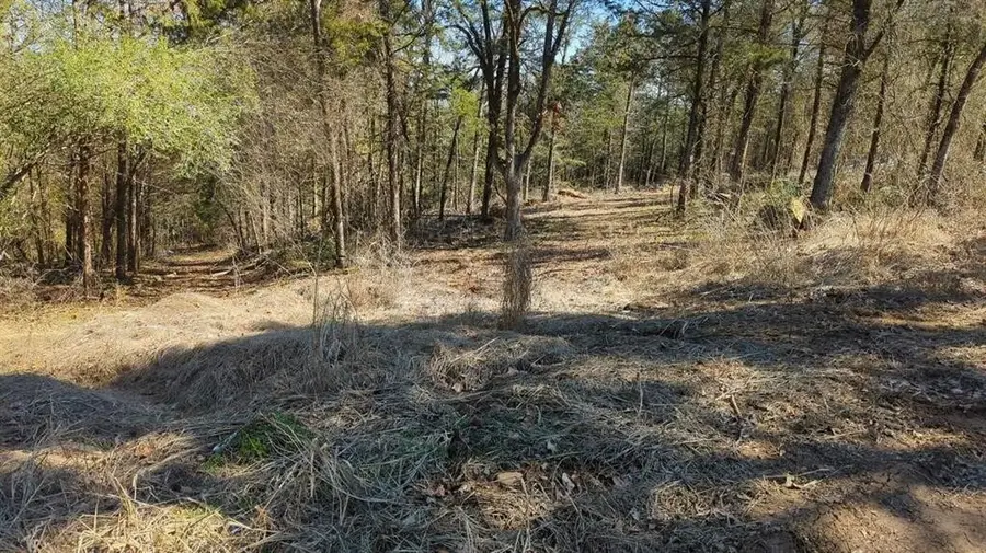 000 Ridge Drive, Dardanelle, AR 72834 - #3