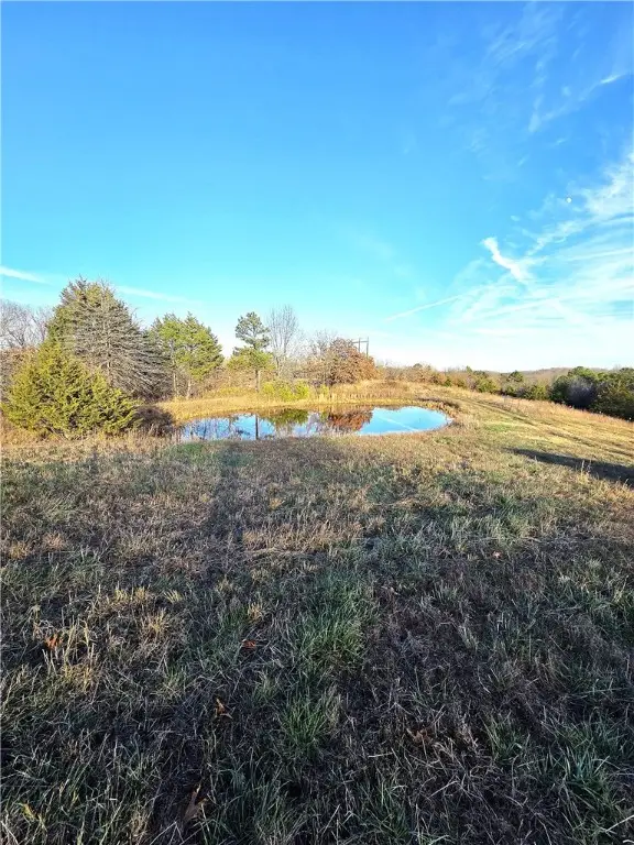 Driftwood Drive, Saint Joe, AR 72675 - #3