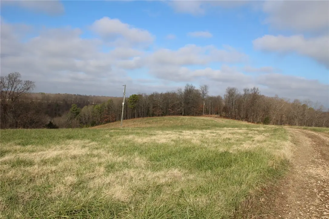 413 Impulse Lane, Yellville, AR 72687 - #1