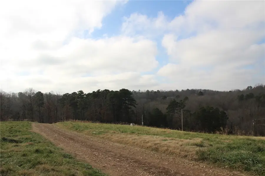 413 Impulse Lane, Yellville, AR 72687 - #3
