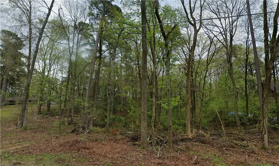 TBD Roseman Road, Camden, AR 71701 - #3