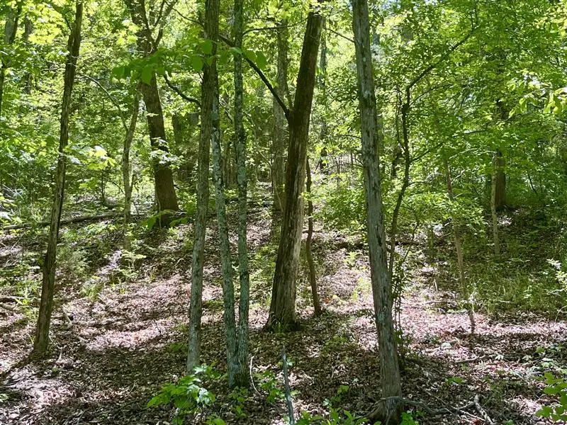 TBD Thunderbird Lane, Holiday Island, AR 72631 - #1