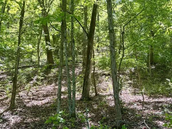 TBD Thunderbird Lane, Holiday Island, AR 72631