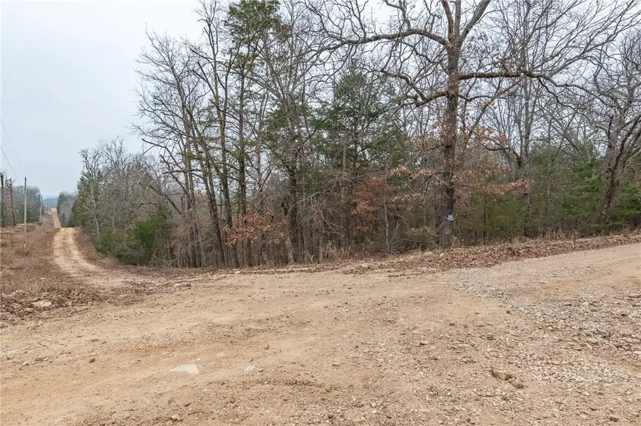 TBD Sunset Drive, Diamond City, AR 72644 - #2