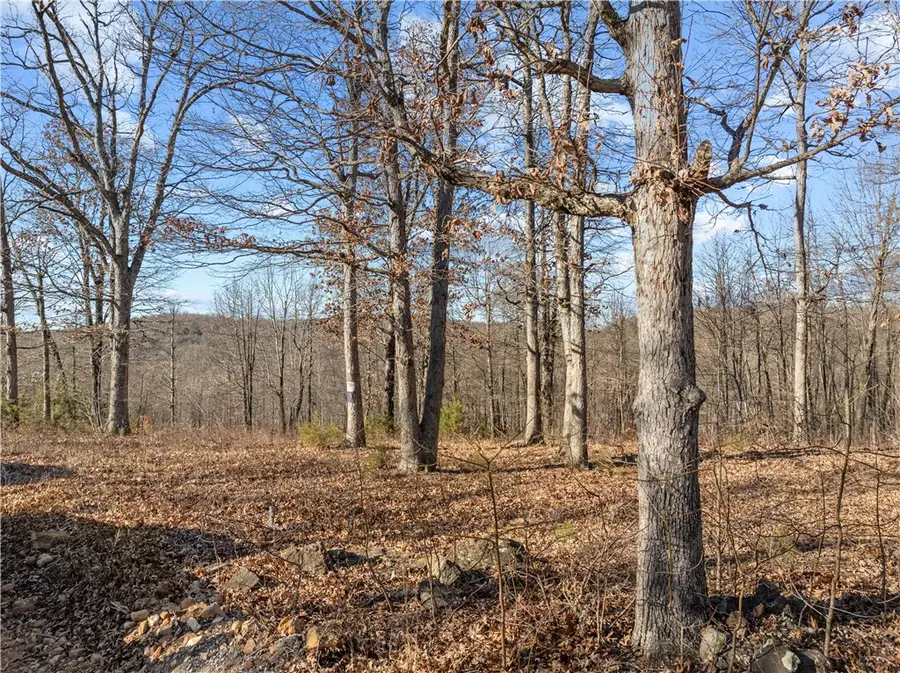 Nc 8378, Jasper, AR 72641 - #2