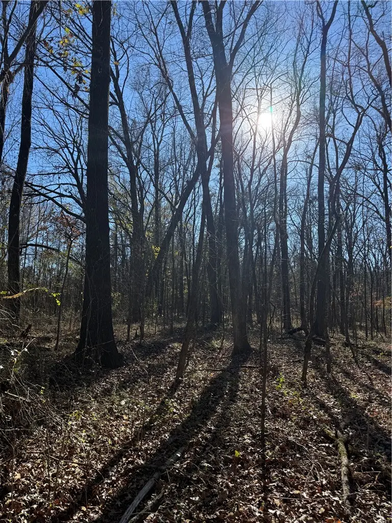 Nebo Acres Road, Dardanelle, AR 72834 - #1