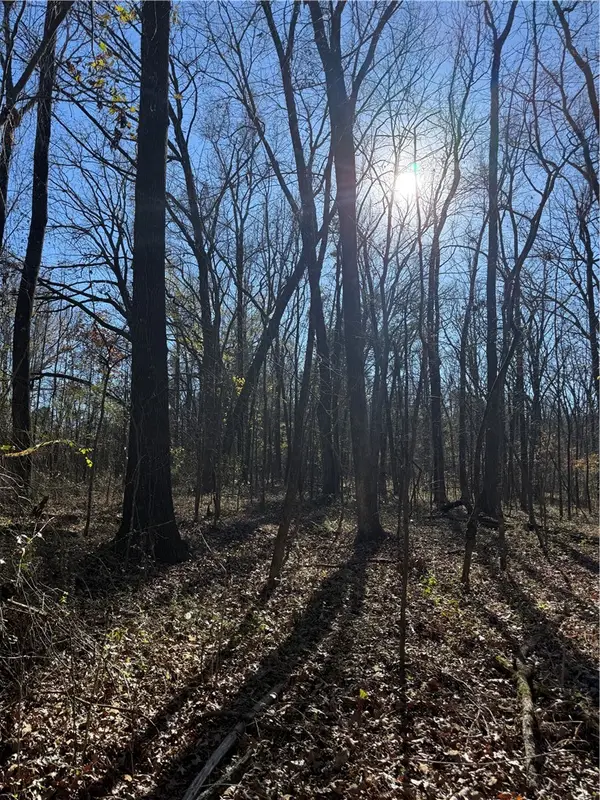 Nebo Acres Road, Dardanelle, AR 72834