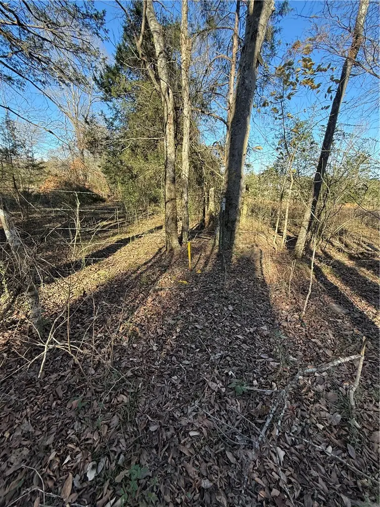 Nebo Acres Road, Dardanelle, AR 72834 - #3
