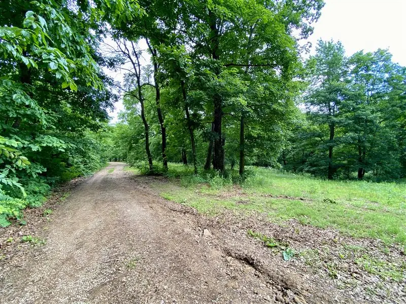 4728 County Road 905, Alpena, AR 72611 - #3