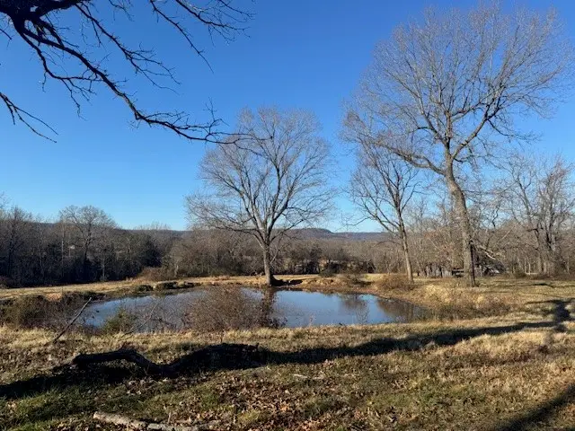 Fork Creek, Harrison, AR 72601 - #1