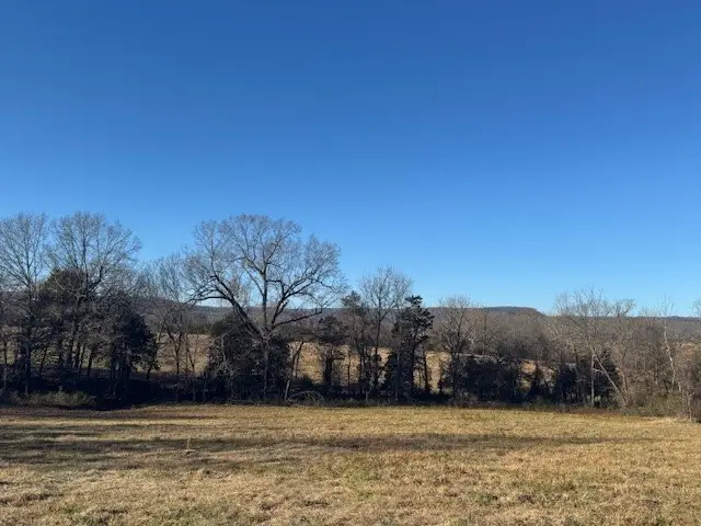 Fork Creek, Harrison, AR 72601 - #2