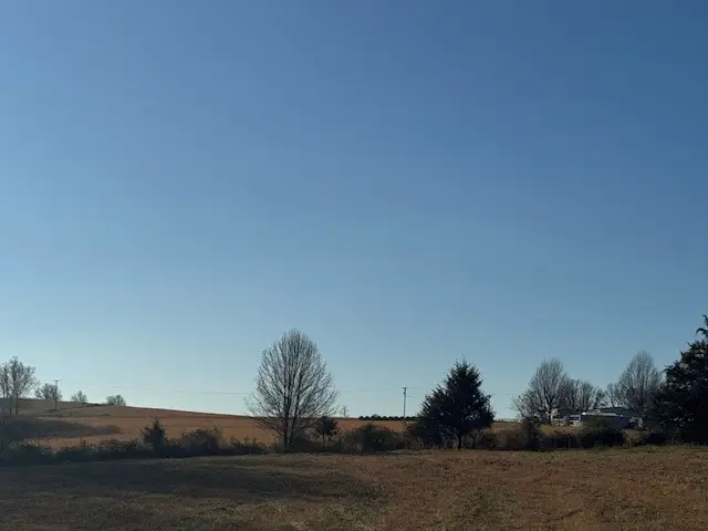 Fork Creek, Harrison, AR 72601 - #3