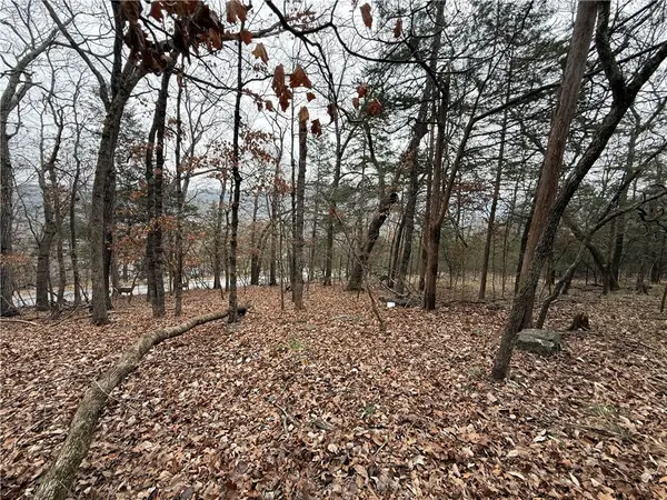 TBD Beaver Drive, Holiday Island, AR 72631