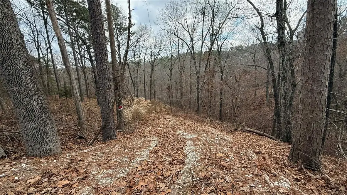 Lot 31, 32, 33 Bridge View Circle, Rogers, AR 72756 - #1