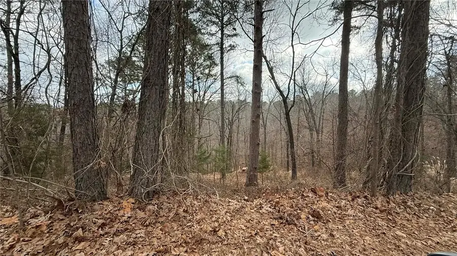 Lot 31, 32, 33 Bridge View Circle, Rogers, AR 72756 - #3