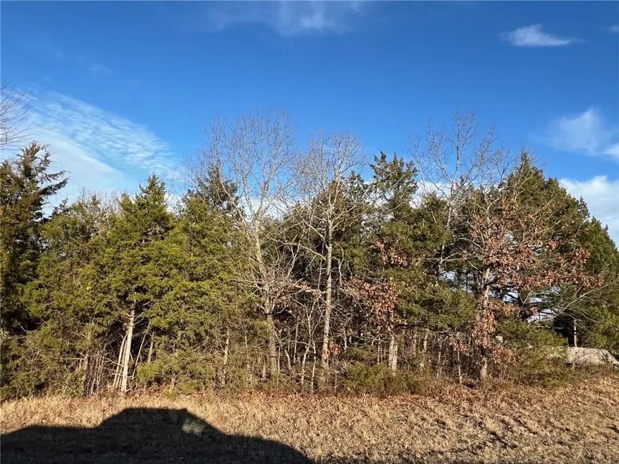 TBD Diamond Boulevard, Diamond City, AR 72630 - #2