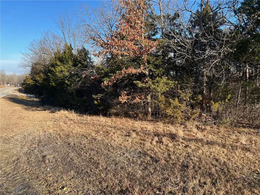 TBD Diamond Boulevard, Diamond City, AR 72630 - #3