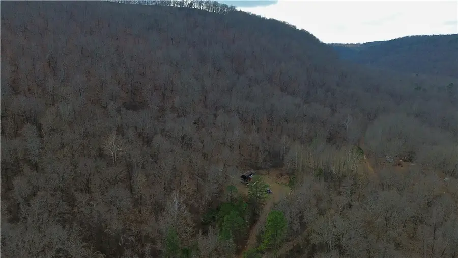 148 Fate Lane, Witts Springs, AR 72686 - #2
