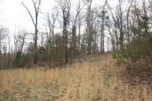 Lot 24 Dogwood Drive, Omaha, AR 72662 - #2