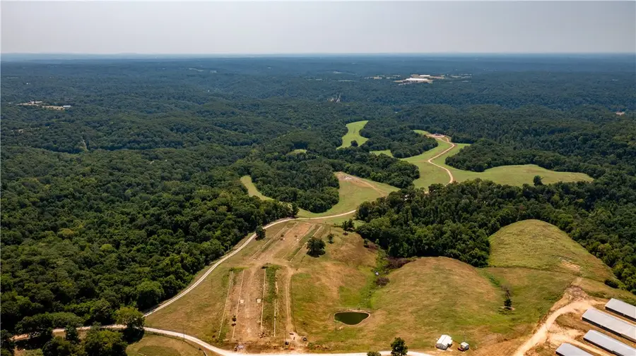 Neon Sky Drive, Pineville, MO 64856 - #3