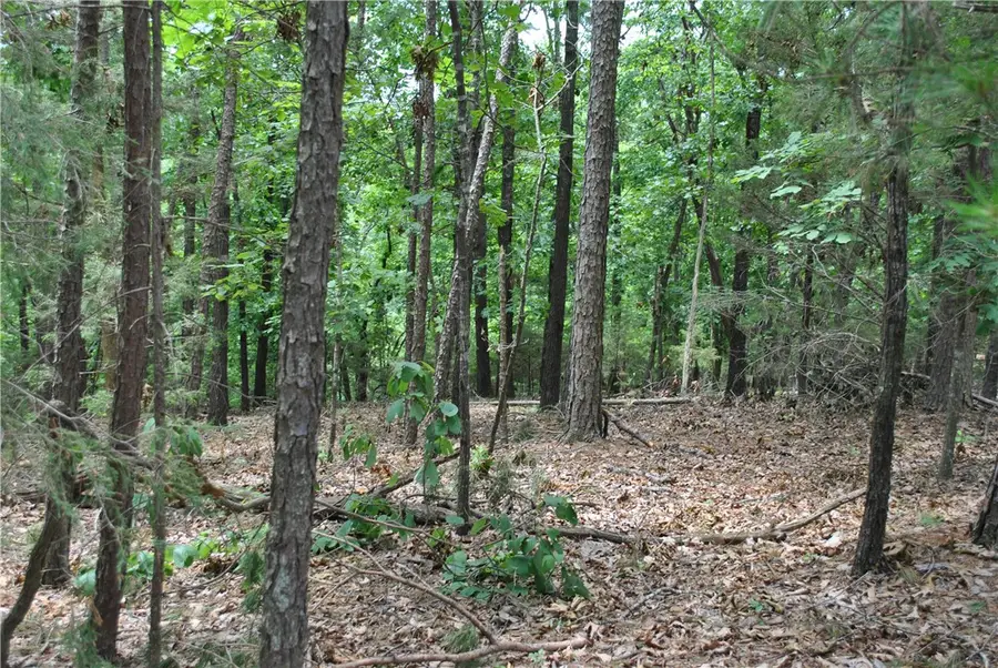 Lots 87-92 Mockingbird Lane, Rogers, AR 72756 - #2