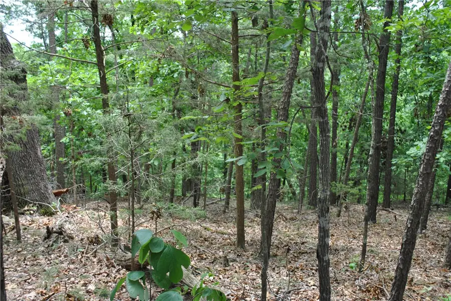 Lots 87-92 Mockingbird Lane, Rogers, AR 72756 - #3