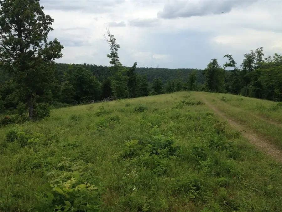 001-00494-003 Tater Knob Lane, Yellville, AR 72687 - #2