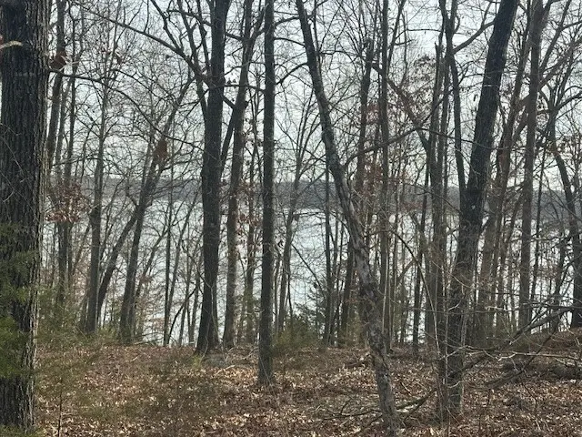 Lakeview Circle, Bull Shoals, AR 72619 - #1