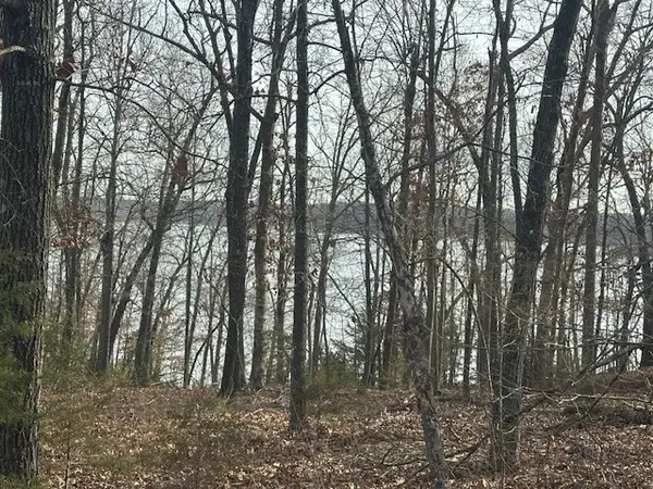Lakeview Circle, Bull Shoals, AR 72619