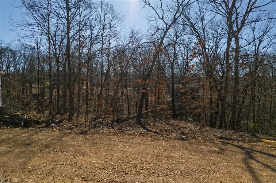 Lot 12 Bexhill Circle, Bella Vista, AR 72714 - #3