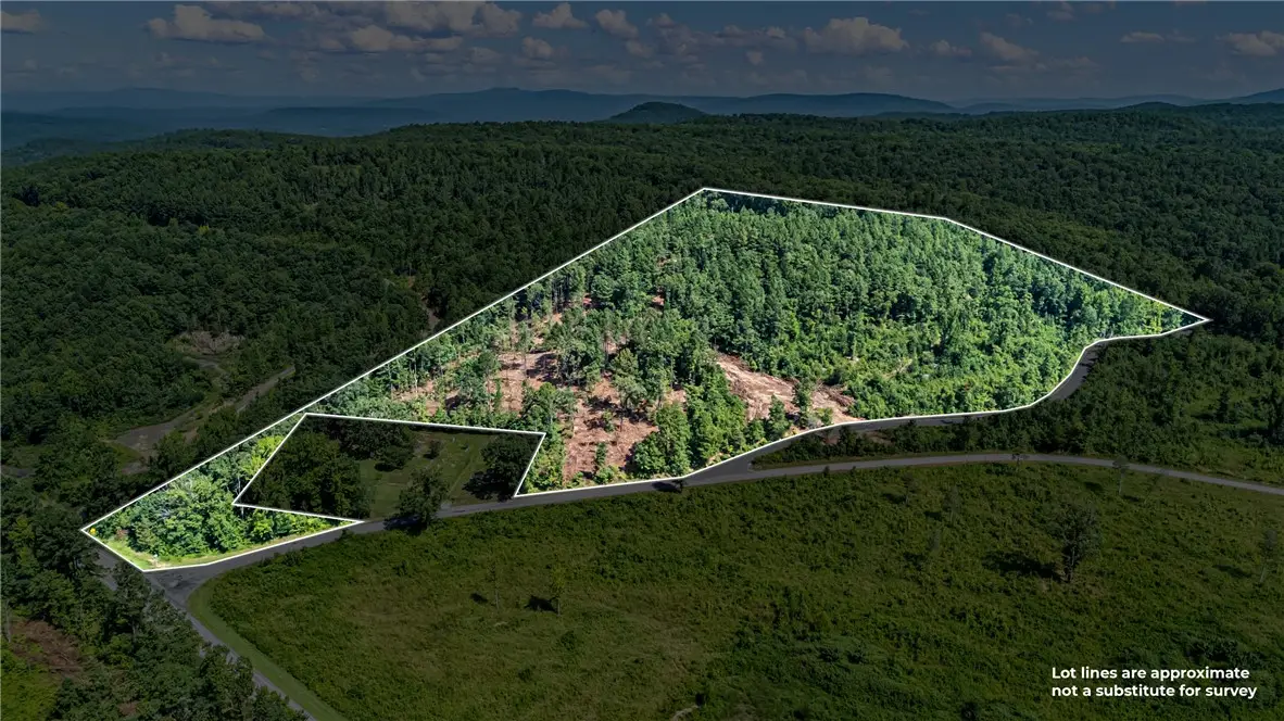19 Acres Off Old 3 Knob Mountain Road, Dover, AR 72837 - #1