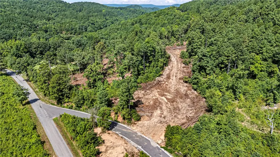 19 Acres Off Old 3 Knob Mountain Road, Dover, AR 72837 - #3