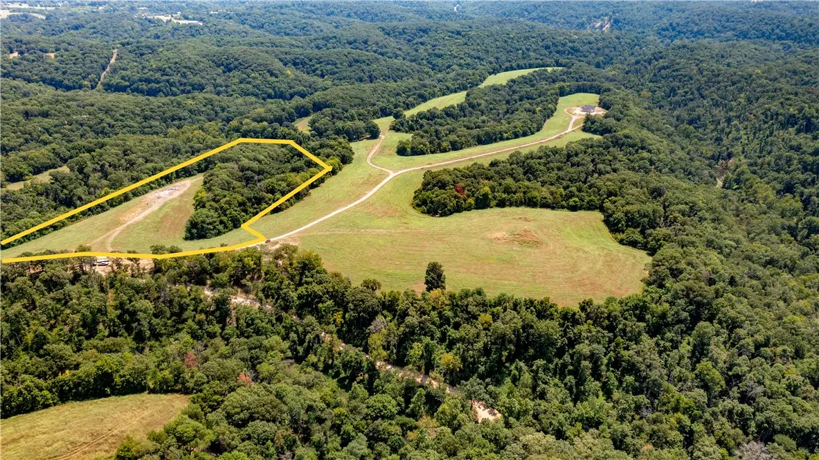 Neon Sky Lot 5 Drive #Lot 5, Pineville, MO 64856 - #1