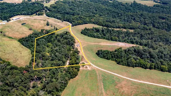 Neon Sky Lot 1 Drive #Lot 1, Pineville, MO 64856