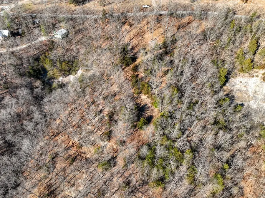 Mundell Road, Eureka Springs, AR 72631 - #3