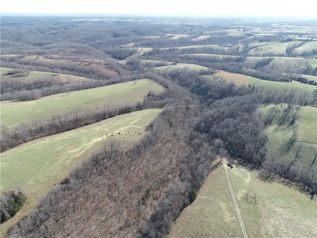 TBD Hwy 23, Huntsville, AR 72740 - #1