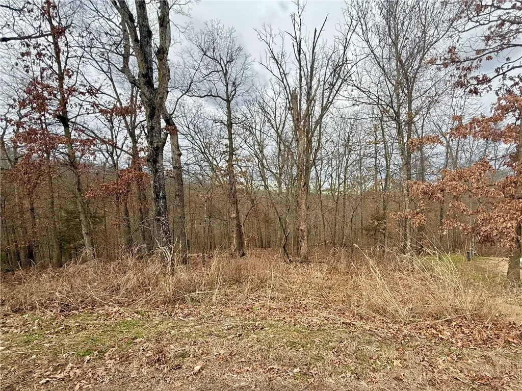 Sutherland Lane, Bella Vista, AR 72714 - #1