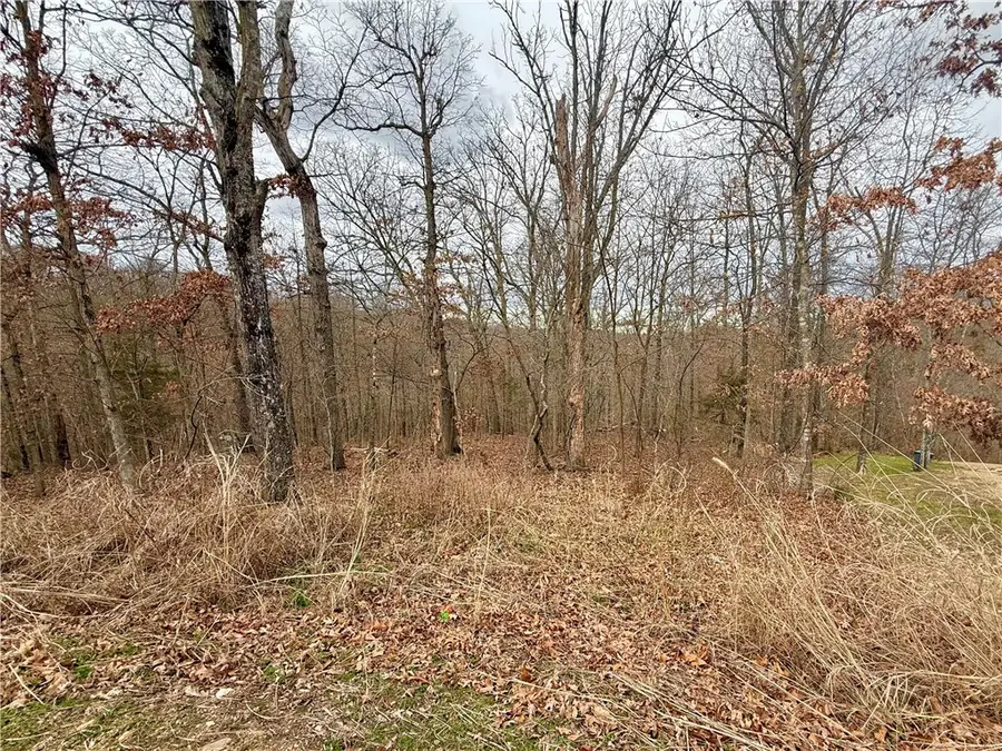 Sutherland Lane, Bella Vista, AR 72714 - #3