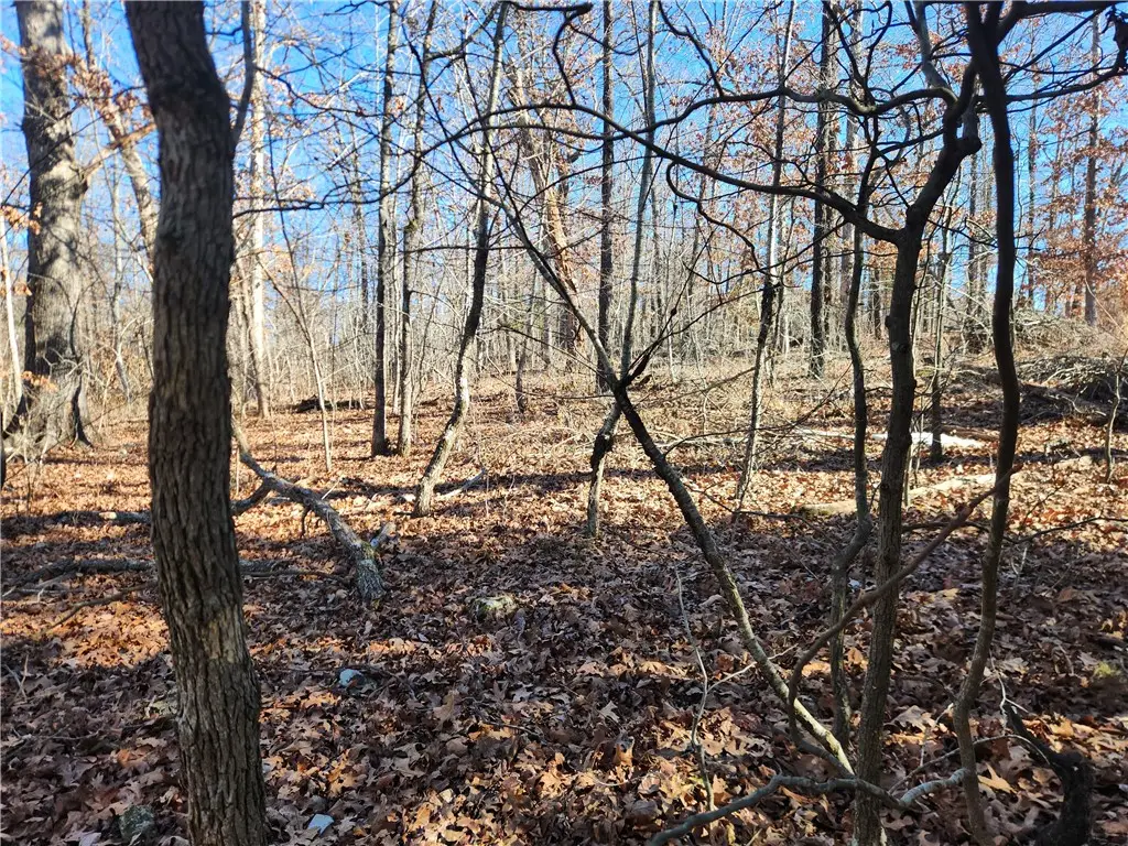 Cress Lane, Bella Vista, AR 72714 - #1