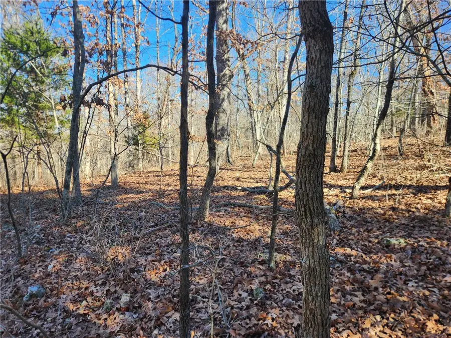 Cress Lane, Bella Vista, AR 72714 - #2