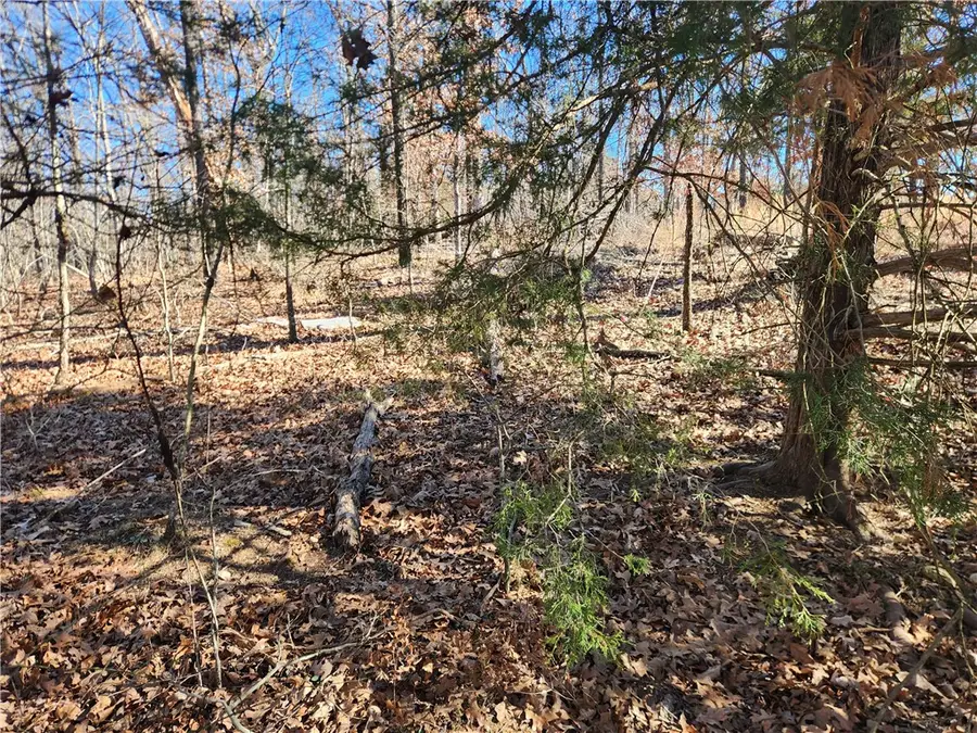 Cress Lane, Bella Vista, AR 72714 - #3