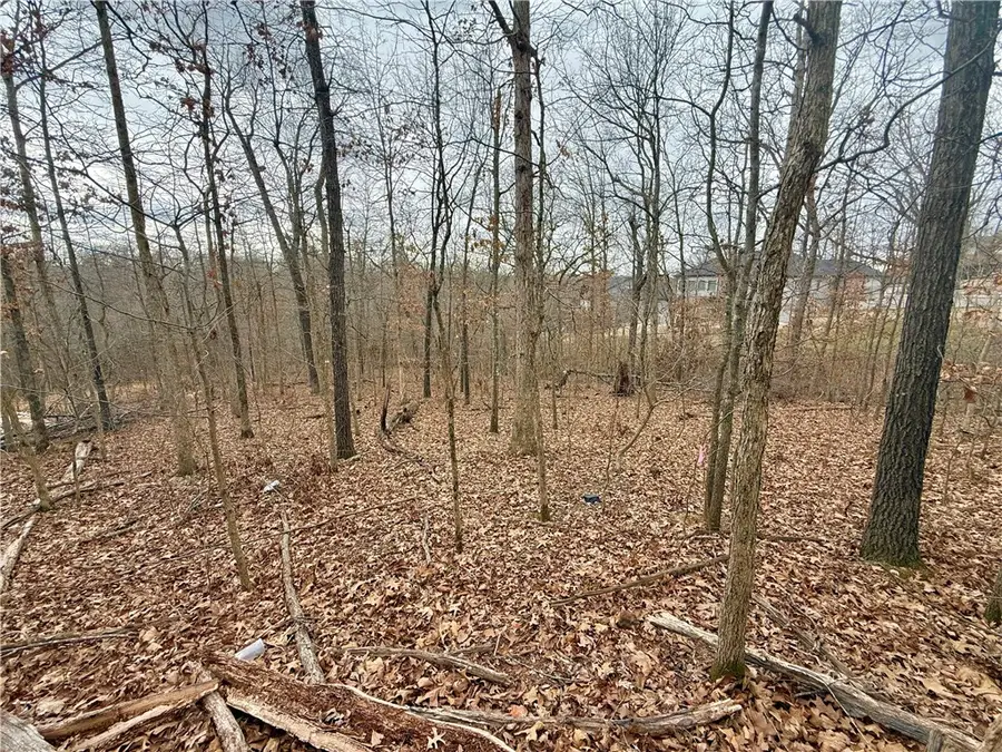 Meshaw Circle, Bella Vista, AR 72714 - #2