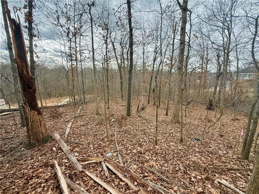 Meshaw Circle, Bella Vista, AR 72714 - #3