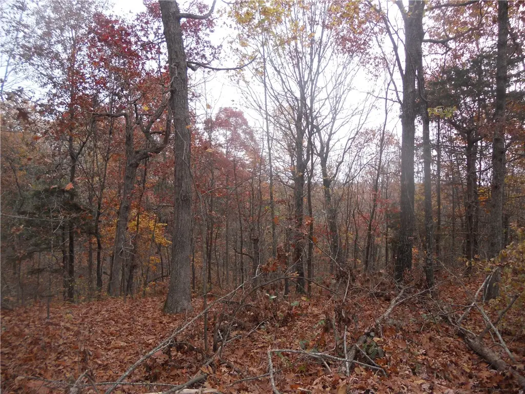 Nc 3510, Western Grove, AR 72685 - #1