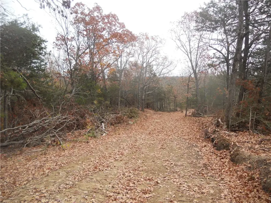 Nc 3510, Western Grove, AR 72685 - #2